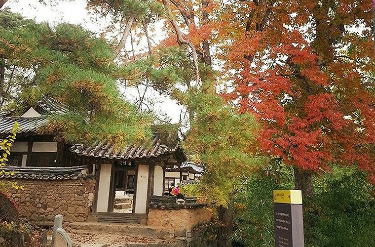安东市奥吉永耶安戈萨旅馆住宿加早餐旅馆 外观 照片