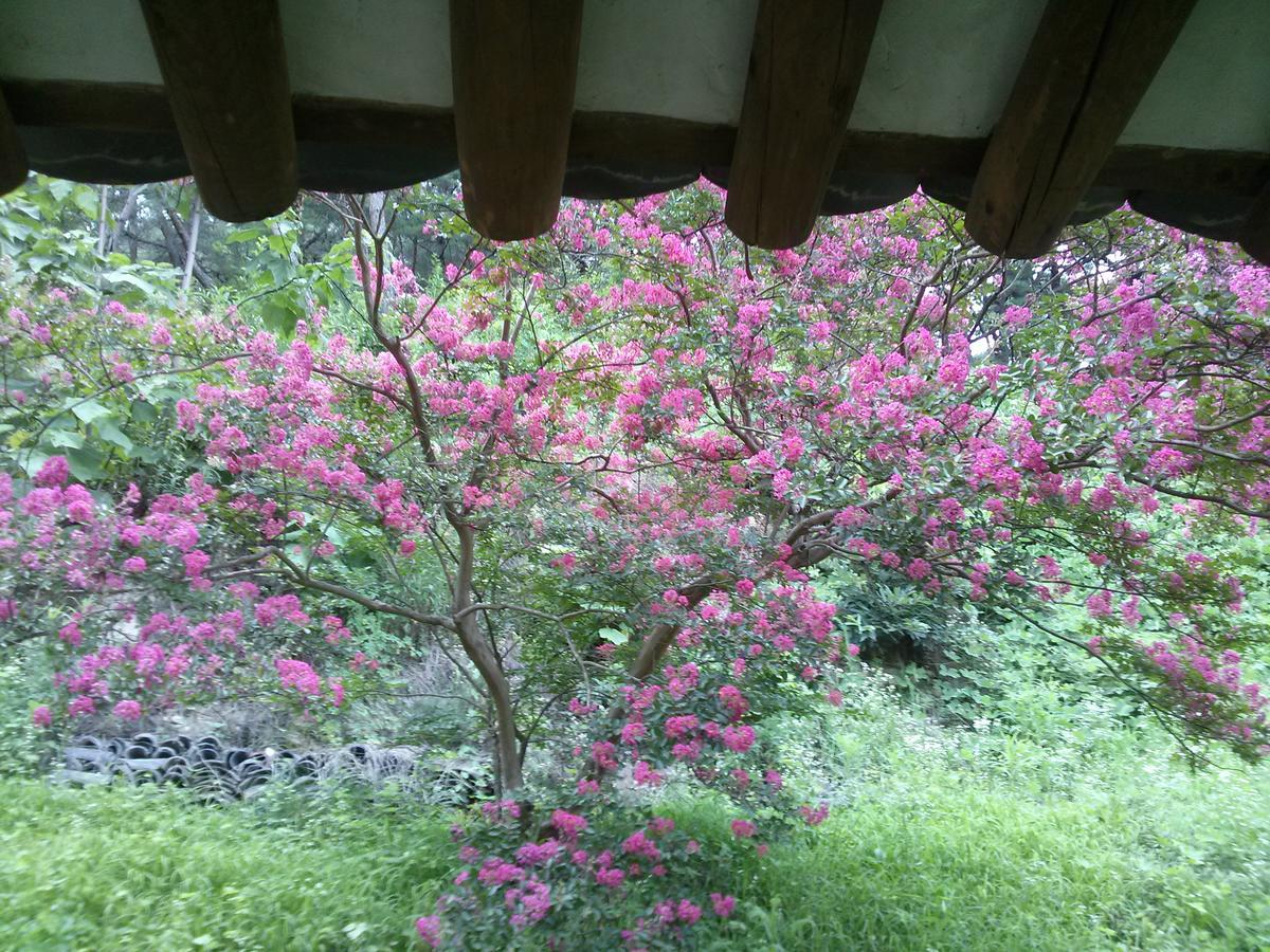 安东市奥吉永耶安戈萨旅馆住宿加早餐旅馆 外观 照片
