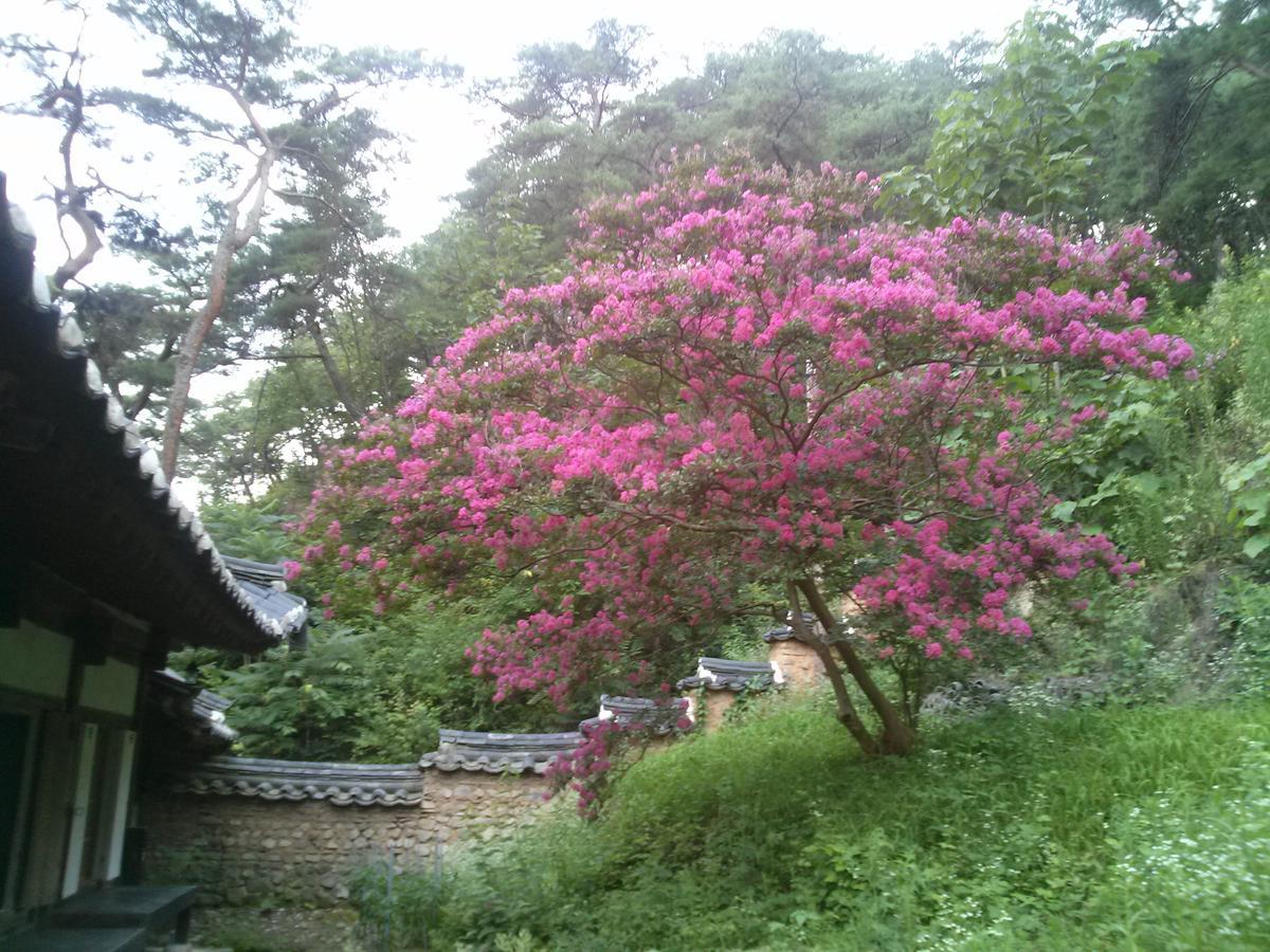 安东市奥吉永耶安戈萨旅馆住宿加早餐旅馆 外观 照片